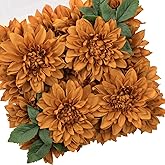 TINGE TIME Artificial Flowers 20pcs Silk Dahlia 5"/6" Fake Flowers for DIY Wedding Bridal Bouquets Centerpieces Arrangements Party Baby Shower Home Decorations (Burnt Orange)