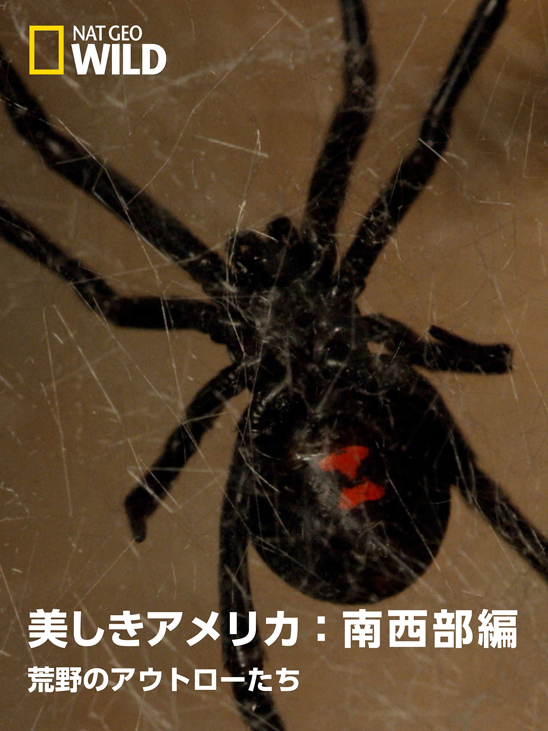 Amazon Co Jp 美しきアメリカ 南西部編 荒野のアウトローたちを観る Prime Video