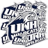 Desert Cactus University of New Hampshire Sticker UNH Wildcats Sticker Vinyl Decals Laptop Water Bottle Car Scrapbook Sheet T3 (Type 3-1)