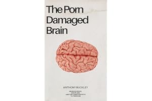 The Porn Damaged Brain: Neuroscience, Discipline, and the Christian Path to Quit Porn