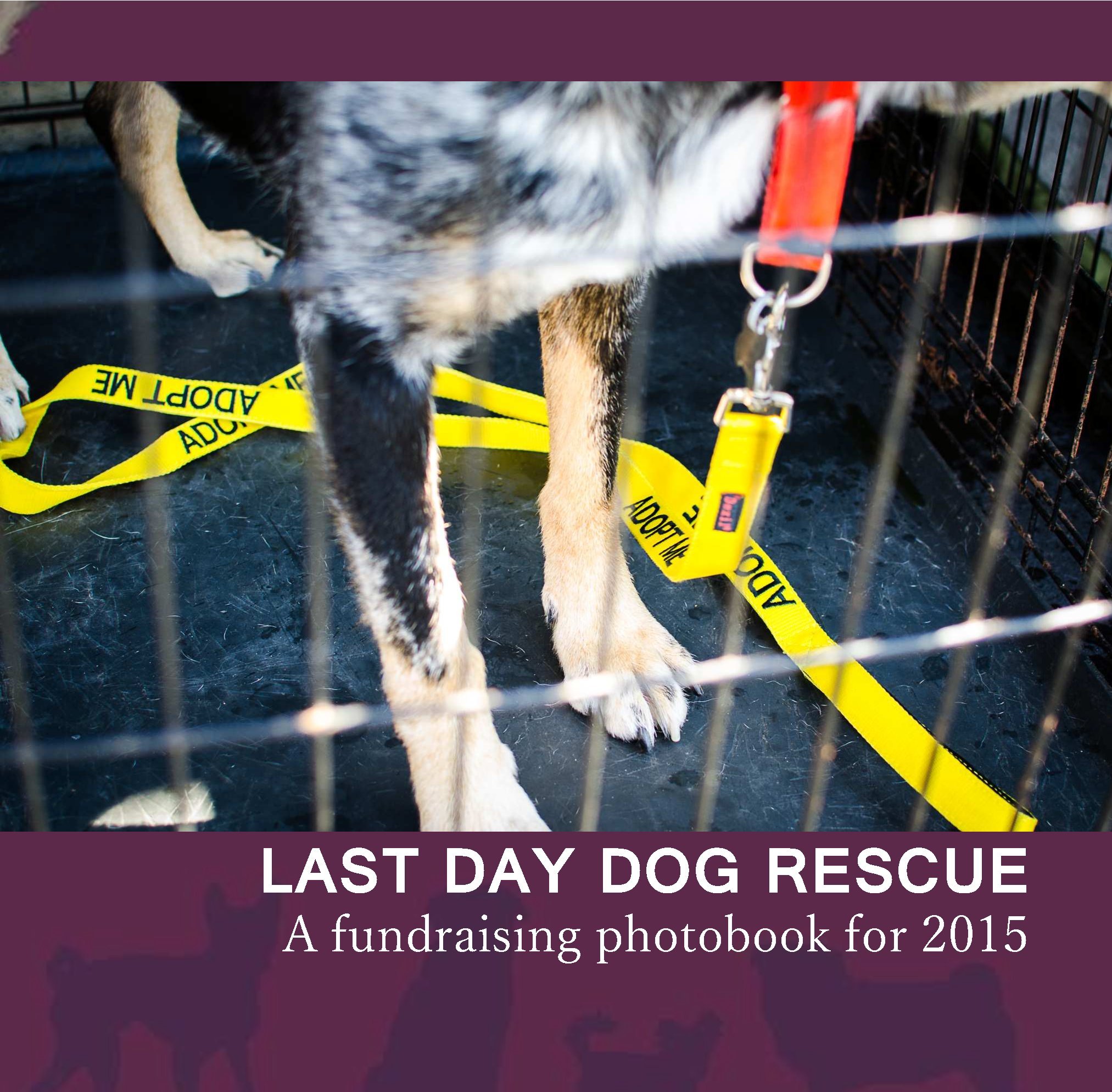last day dog rescue