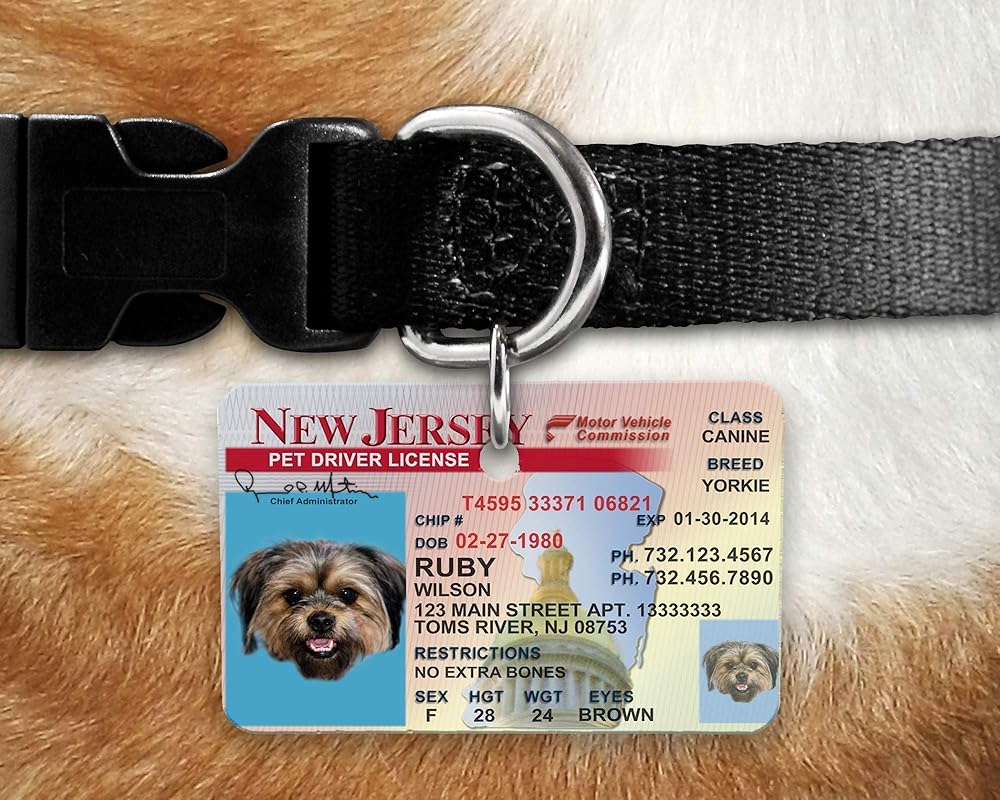 Custom and Personalized NJ Pet Identification Tag with a Photo Inspired by the NJ