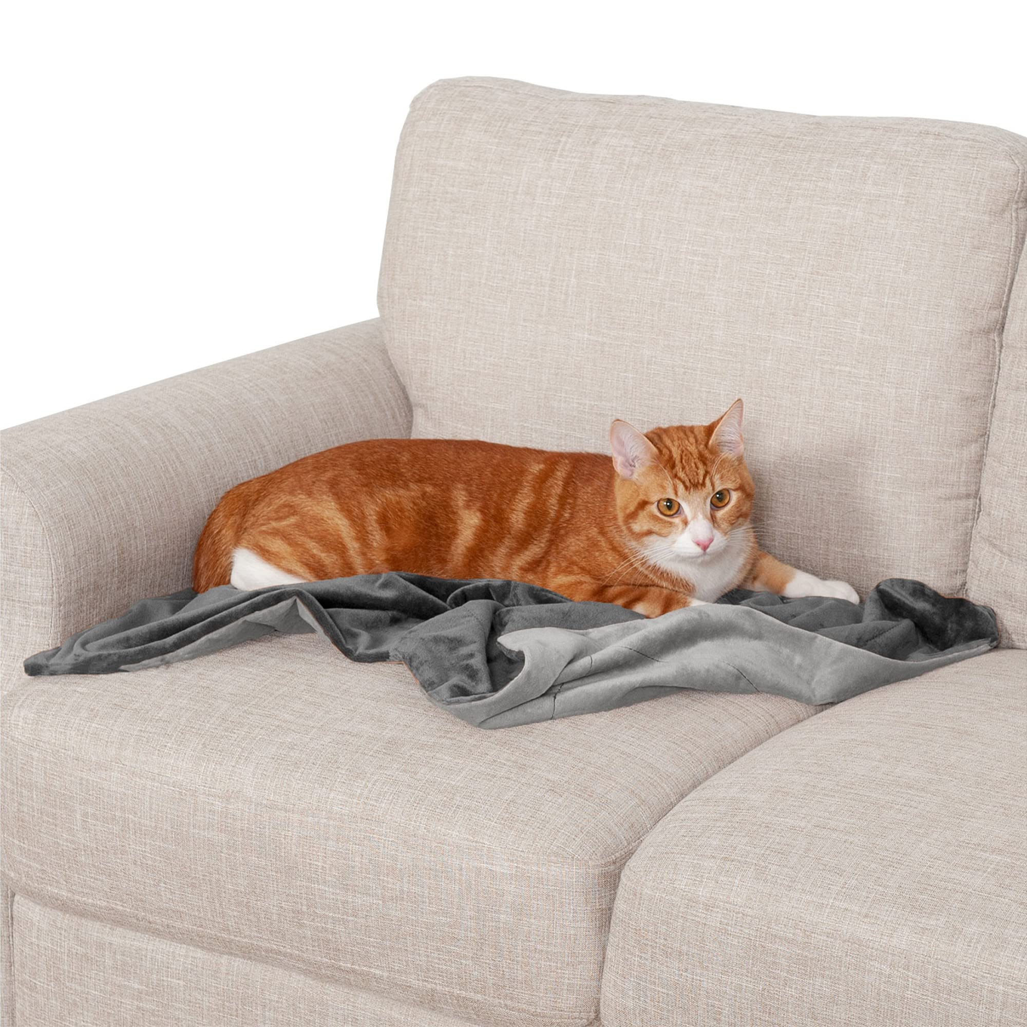 Furhaven Small Waterproof Two-Tone Luxe Velvet Dog Blanket, Washable - Granite Gray, Small