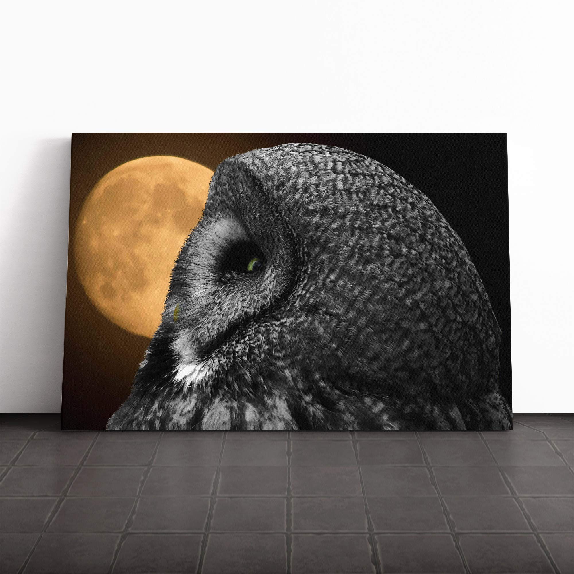 Owl and Moon Canvas Print | Gallery Wrapped 30mm Frame Wall Art | 20x14 inches | Ready to Hang | Contemporary Space Picture | Living Room Bedroom Lounge Office