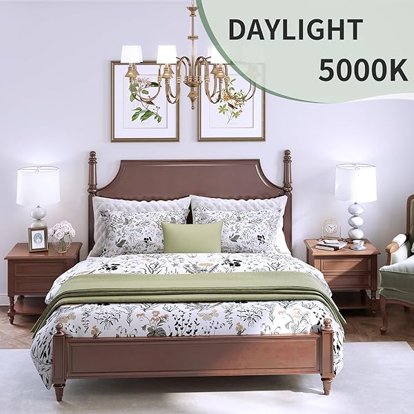 EVELOR A19 LED LIGHT BULBS,60 WATT EQUIVALENT DAYLIGHT 5000K WITH E26 BASE,EFFICIENT 9W,800 LUMENS NON-DIMMABLE LED BULBS,15000 HOURS, IDEAL FOR BEDROOM LIVING ROOM, 4-PACKS