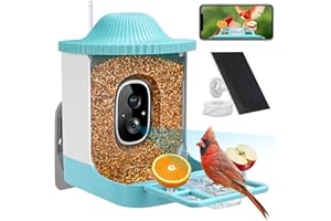 BIRDDOCK Smart Bird Feeder with Camera, Free AI to Identify 11000+ Bird Species, Solar Panels Bird Video & Motion Detection Camera Auto Capture Notify,Hummingbird Camera Feeder for Outdoors
