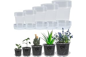 TNTIWQ 30 Pack 3/4/5/6/7 Inch Clear Nursery Pots with Drainage and 30 Pack Plant Saucers, Plant Pots for Plants Transparent P