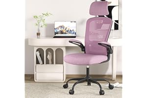 Ergonomic Desk Chair for Long Hours Sitting – Back & Neck Pain Relief, Adjustable Lumbar Support & Headrest, High-Density Foa