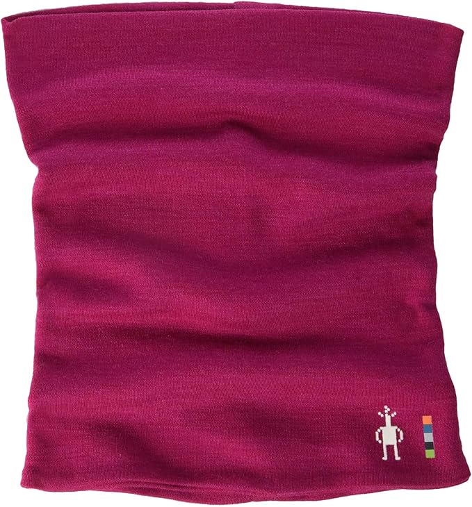 smartwool 250 neck gaiter