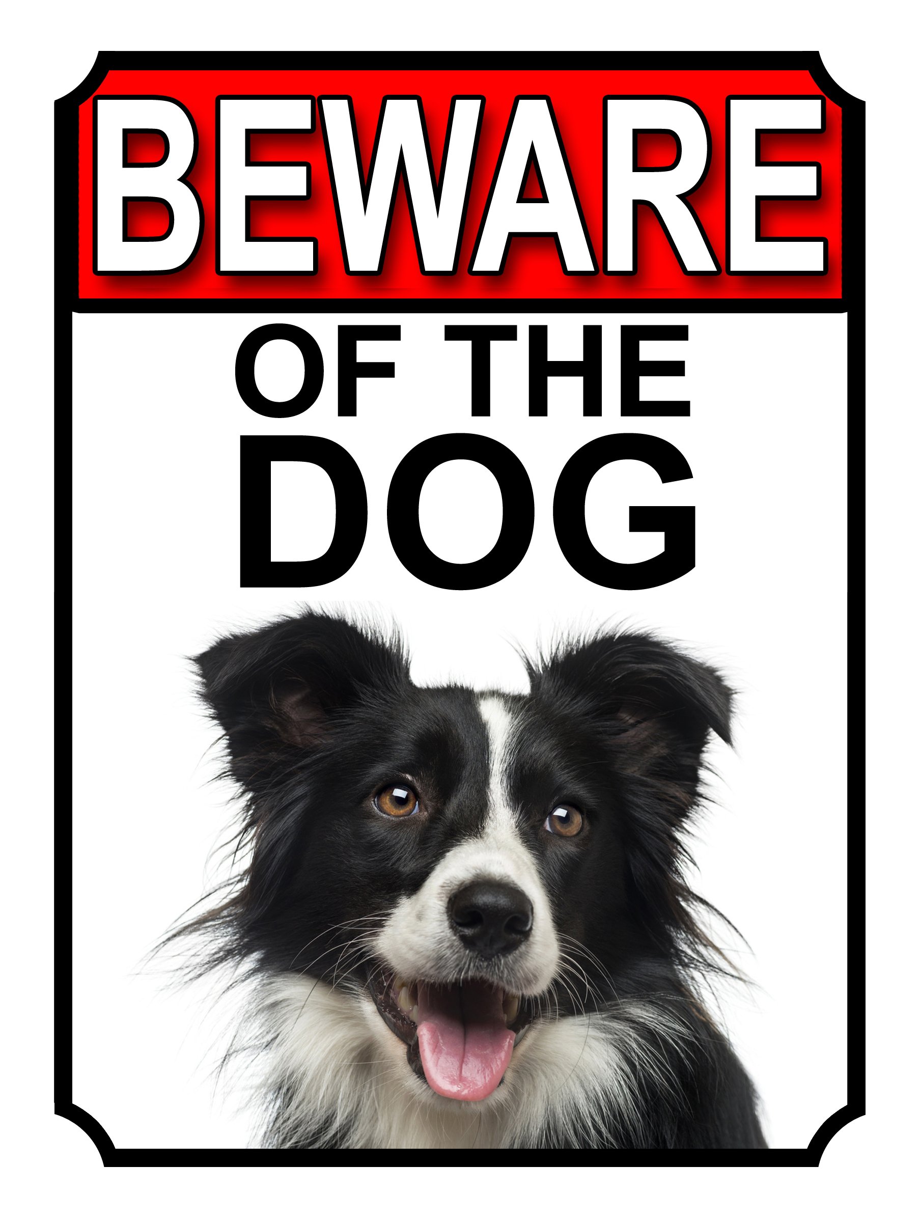 Shawprint Limited BEWARE OF THE DOG METAL GATE SIGN BORDER COLLIE 200MM X 150MM (1114H1)