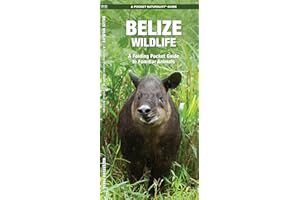 Belize Wildlife: A Folding Pocket Guide to Familiar Animals
