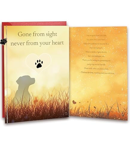 thumbnail interactive-video image 1 of Cat Loss Sympathy Card For Pet Bereavement Memorial Or Rainbow Bridge 1 of 12