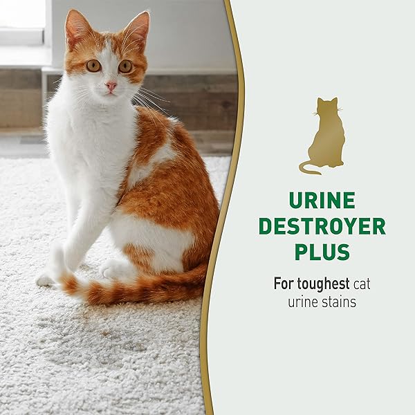 NATURE’S MIRACLE URINE DESTROYER PLUS CAT, 32 OUNCES, ENZYMATIC FORMULA, READY-TO-USE