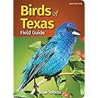 Birds of Texas Field Guide (Bird Identification Guides)