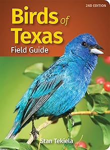 kindle best category lists