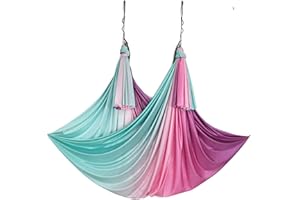 WELLSEM Aerial Yoga Hammock Aerial Pilates Silk Yoga Swing Set Inversion Equipment include daisy Chain, Pose Guide 5.5 yards
