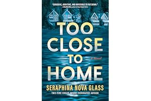 Too Close to Home: An Explosive, Darkly Humorous Domestic Thriller where Nothing is What It Seems
