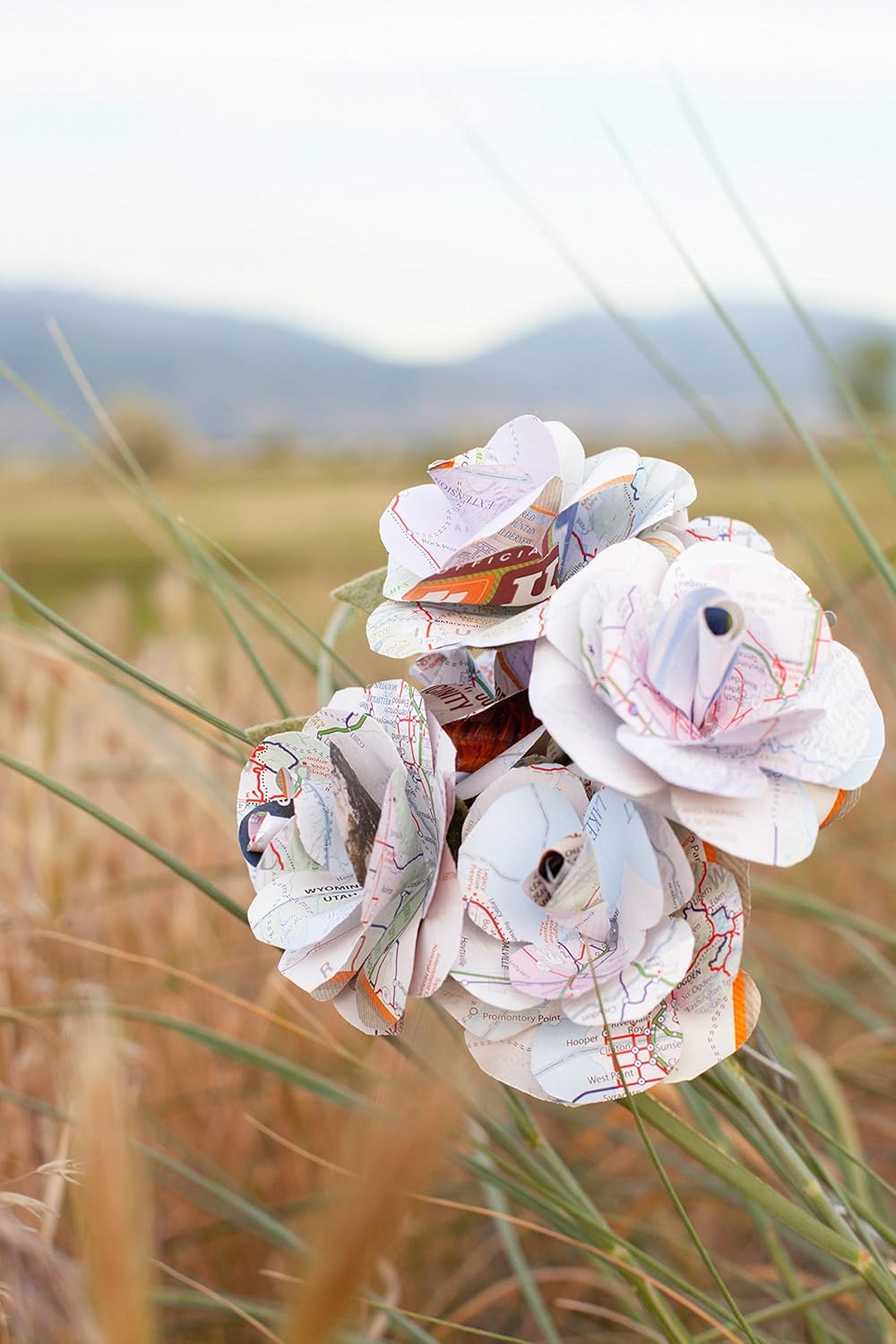 Amazon Com Utah Map Flowers United States Paper Map Roses Handmade