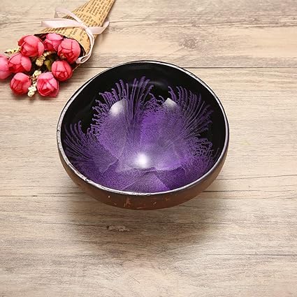 Decorative Bowl Essort Natural Coconut Shell Bowl Dishes Mosaic
