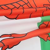 AZ FLAG Wales Flag 2x3 Ft 100D Polyester Banner with Grommets view 3
