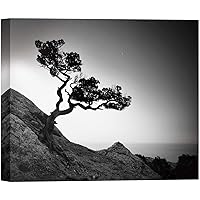 SIGNWIN Canvas Wall Art A Wisdom Tree with Sunrise on The Hillside by The Ocean Nature Wilderness Photography Modern Art Black and White for Living Room, Bedroom, Office - 12x18 inches
