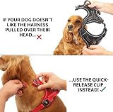 Elite Paws UK Premium Metal Buckle Dog Harness Red Small view 3