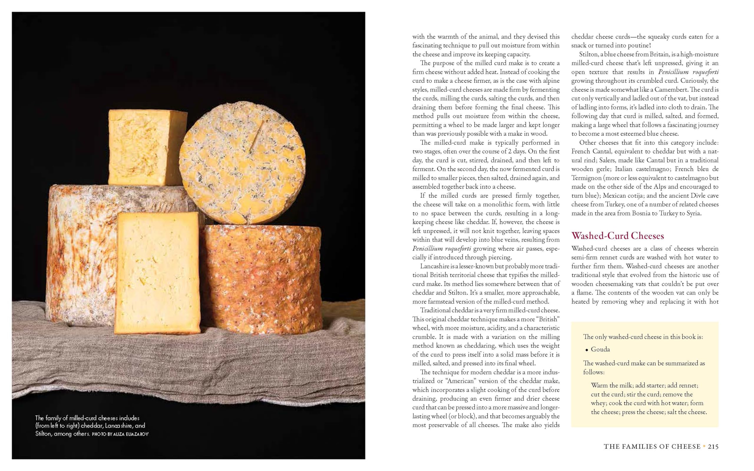 Milk Into Cheese: The Foundations of Natural Cheesemaking Using Traditional Concepts, Tools, and Techniques