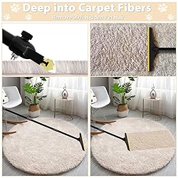 B-Land Carpet Rake for Pet Hair Removal, Reusable