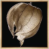 SIGNWIN Framed Canvas Wall Art Black and White Chinese Lantern Flower Botanical Plants Photography Realism Modern XRay Dramatic for Living Room, Bedroom, Office - 16