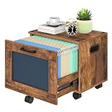 HOOBRO File Cabinet, Rolling File Cart, Under Desk Small Filing Cabinet, File Organizer Box, Home Office File Basket with Drawer for A4, Letter Files, Rustic Brown and Black BF11WJ01G1
