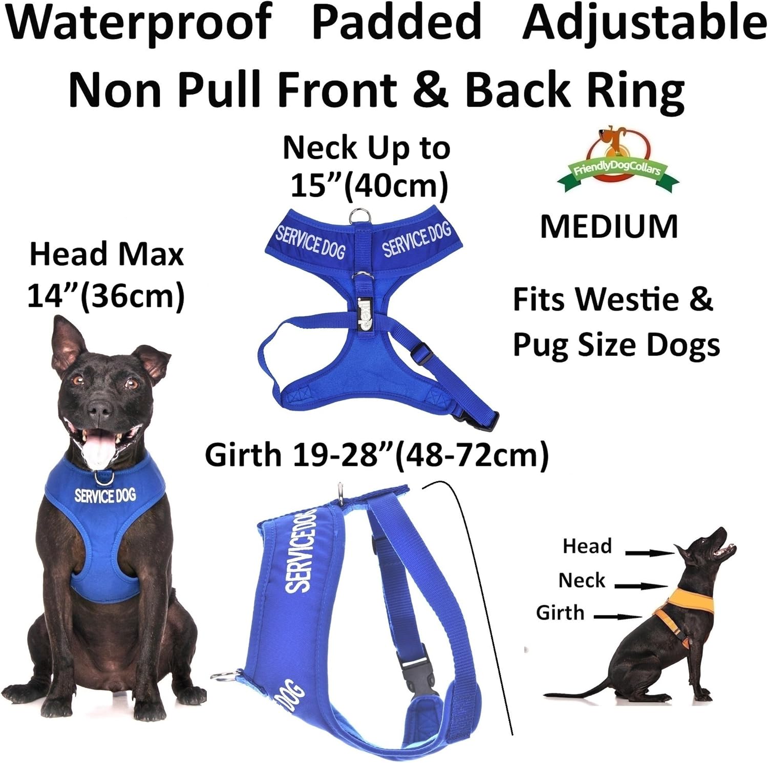 SERVICE DOG (Do Not Disturb/Dog Is Working) Blue Colour Coded NonPull Front and Back D Ring