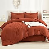 Litanika Burnt Orange Comforter California King