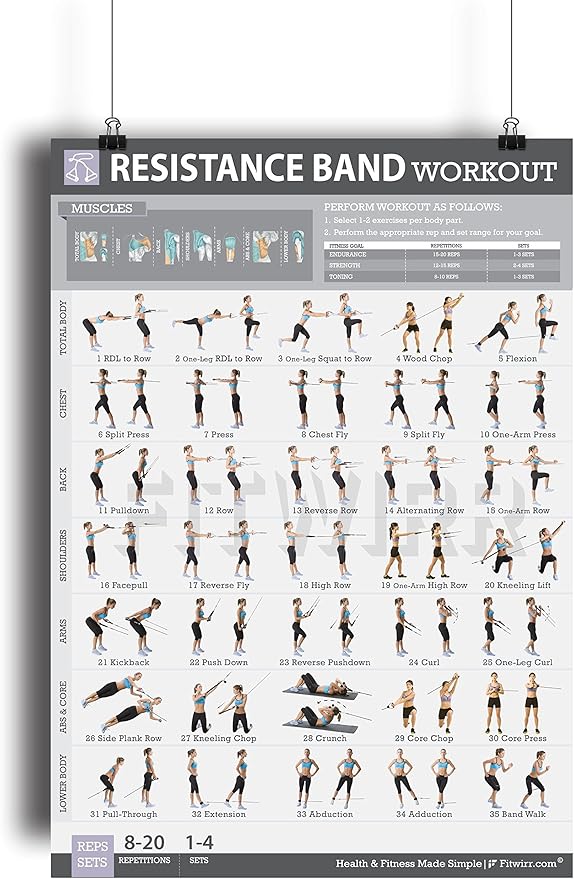 Resistance Band/Tube Exercise Poster Now Laminated Total Body Workout