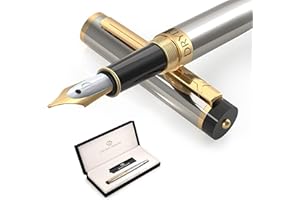 Dryden Designs Fountain Pen Medium Nib Luxury Box | Include 6 Ink Cartridges and Ink Refill Converter -Metallic Silver