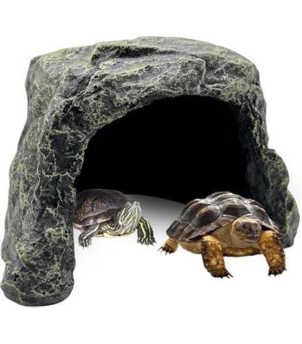 Amazon.com: Tortoise Hideout