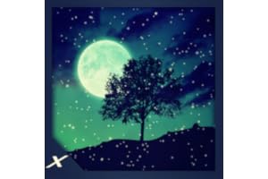 Animated Snow Scenery - A Romantic Snowy View