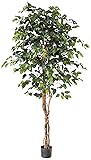 Nearly Natural 6ft Triple Trunk Artificial Ficus