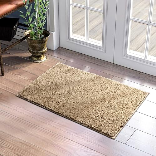 HOMEIDEAS Door Mats Indoor, 17"x29" Super Absorbent Non Slip Rugs for Entryway, Front Back Welcome Doormat Dirt Trapper (Beige)