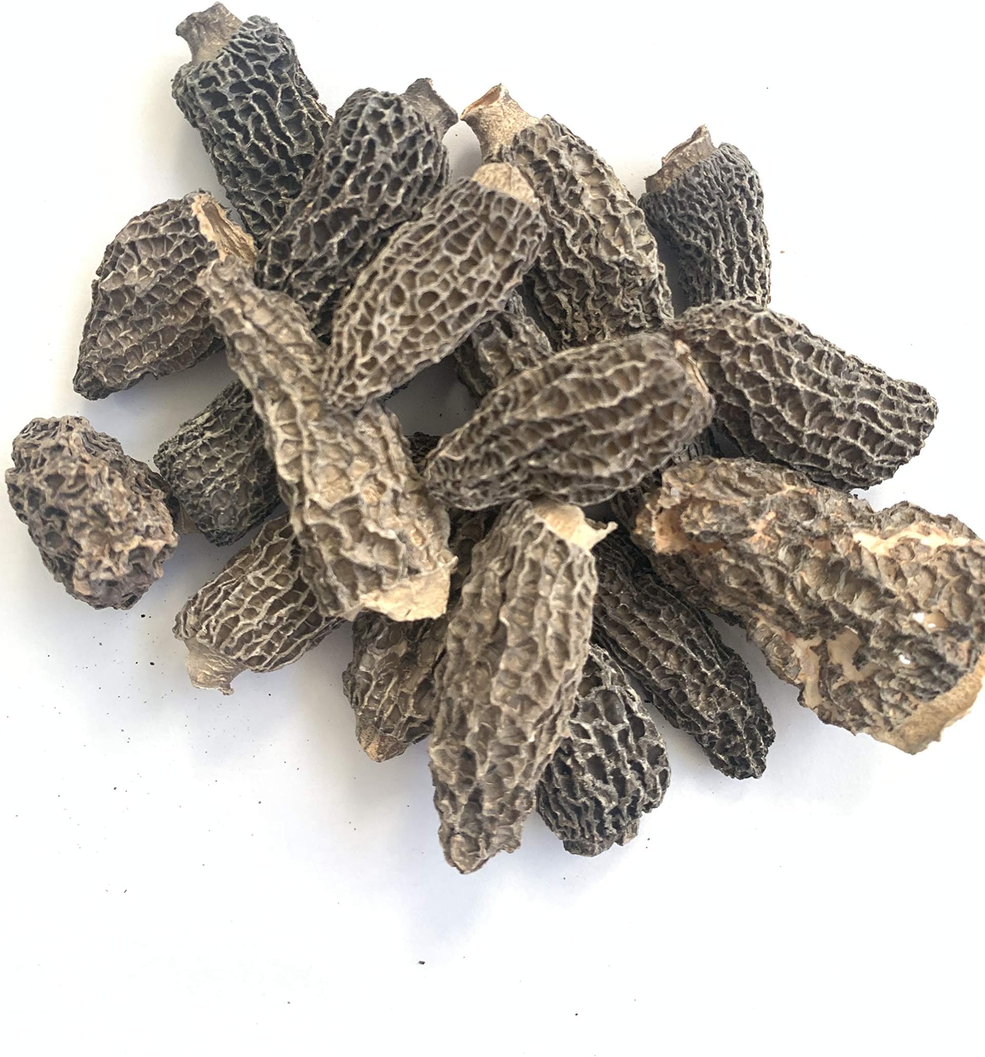 Dried Wild Morel Mushroom, Premium Grade. Foraged in Canada. (8)