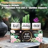 Buioata Nanny Gifts for Nana Succulent Plant Pots 3 Pack Ceramic Planters view 2