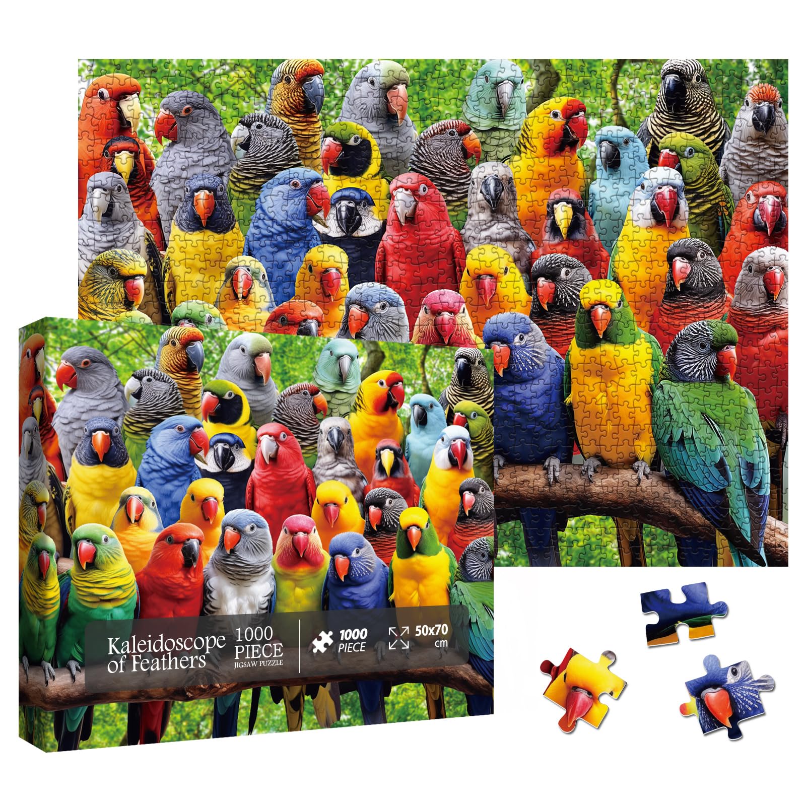 Colorful Parrot Bird Jigsaw Puzzle 1000 Piece for Adult, Pretty Art Aesthetic Jigsaw Puzzles, Cute Animal Funny Nature Puzzle