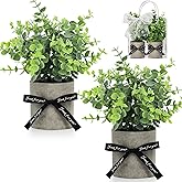 DomeStar 2 Pack Mini Artificial Potted Plants with Gift Bag & Ribbon - Gift Ready Faux Eucalyptus for Housewarming, Office Desk Decor - Cute Appreciation Gifts for Women, Coworkers, Friends