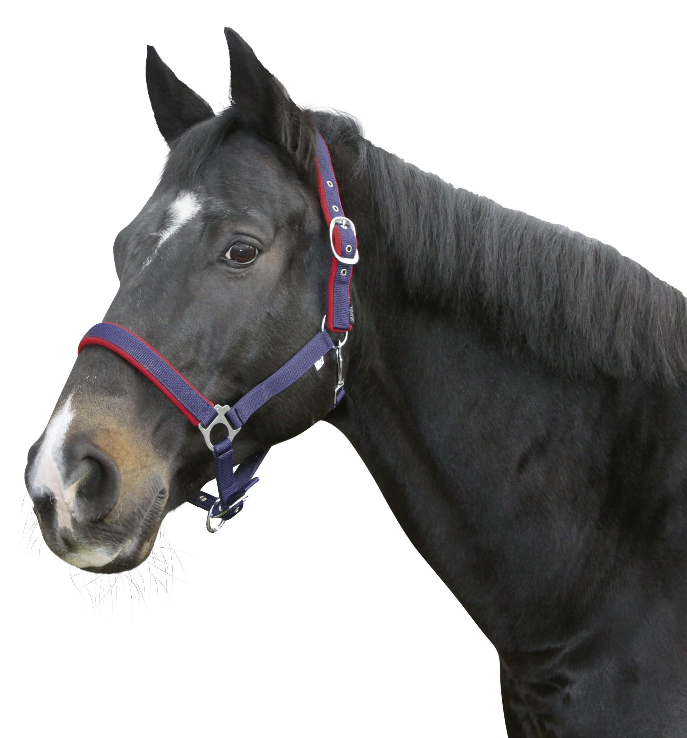 Kerbl Underlay Head Collar Dexter With Fleece - Blue, Size 1