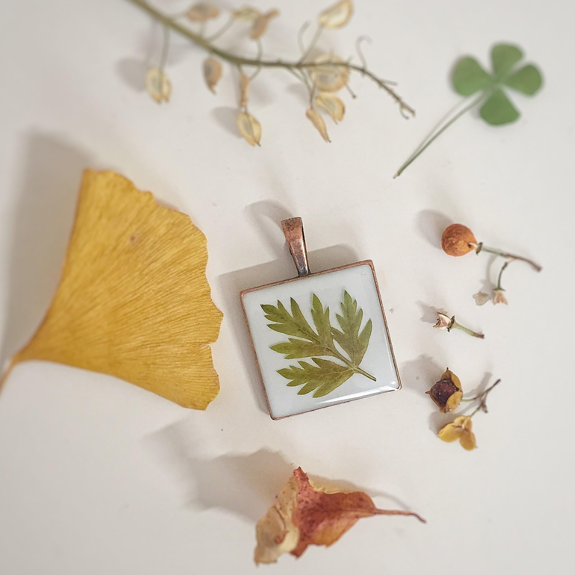 Fern Necklace, Dried Fern, Pressed Flower, Antique Cooper Square Frame, Botanical, Sphenomeris, Resin, Terrarium