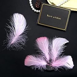 300pcs Pink Feathers 2-3 Inches Bulk Feathers for