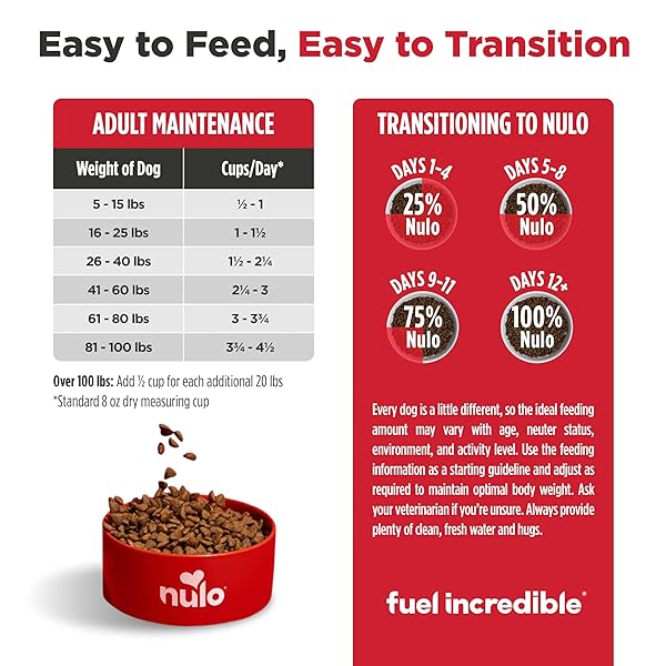 NULO FREESTYLE ADULT DRY DOG FOOD – TURKEY & SWEET POTATO, PREMIUM GRAIN FREE DOG FOOD WITH PROBIOTICS FOR HEALTHY GUT, SKIN AND COAT, NATURAL HIGH PROTEIN KIBBLE FOR SMALL, MEDIUM, LARGE BREEDS, 6LB