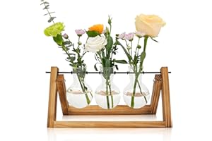 GOMALL Plant Propagation Station with Wooden Stand,Unique Gardening Gifts for Women Plants Lovers,Birthday Gifts for Women,Plant Terrarium for Home Office Desk Decorations-3 Bulb Vases