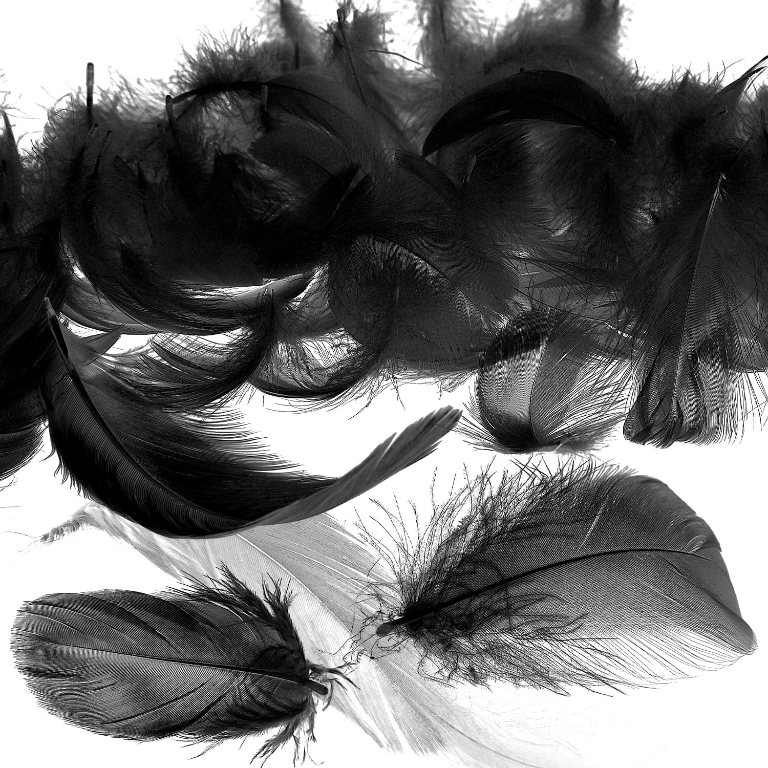 Mbsomnus Black Feathers, 600 Pcs Natural Craft Feathers 5-12 cm for DIY Crafts Dream Catcher Earrings Headdress Hats Feather Flowers Wedding Party Holiday Decoration