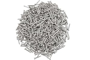 newlng 500PCS Small Nail Round Head Tiny Nails String Art Nails Hand-Made Hardware Accessories Fasteners Mini Nails 1 X 10mm/0.04"X0.4"(DXL) Silver