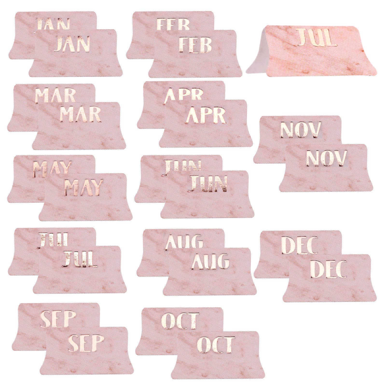 AIEX 24Pcs Monthly Tabs Calendar Stickers, Monthly Calendar Stickers Tabs Adhesive Index Tabs for Planners, Journal, Notebook, Agendas and Organizers, Office and Sturdy (Pink)